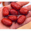 Chinese dates the best red chinese dates